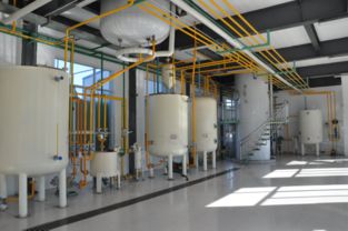 胥加寬 身殘志堅勇創(chuàng)業(yè)，食用油香飄助殘路