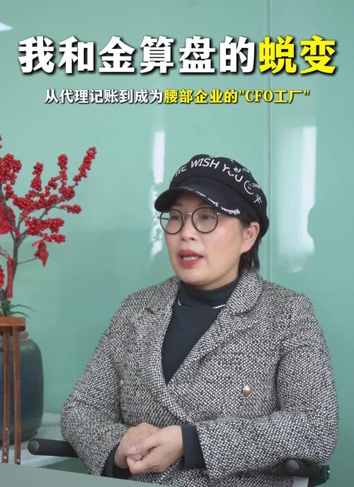 從代理記賬到為腰部企業(yè)做財(cái)務(wù)咨詢 一次職業(yè)躍遷的深度解析